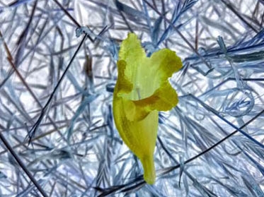 Agents of Recovery + Change: The Arts in Year Two of the Pandemic